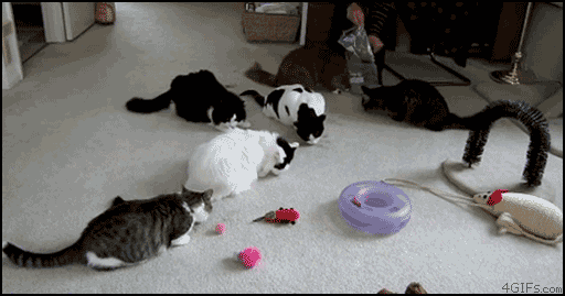00231ehb.gif