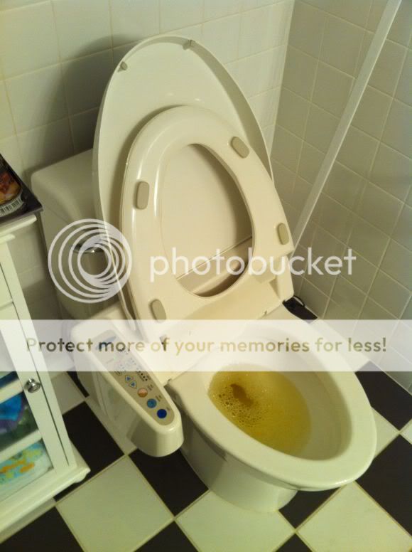 f0bd7_fancy-toilet_580.jpg