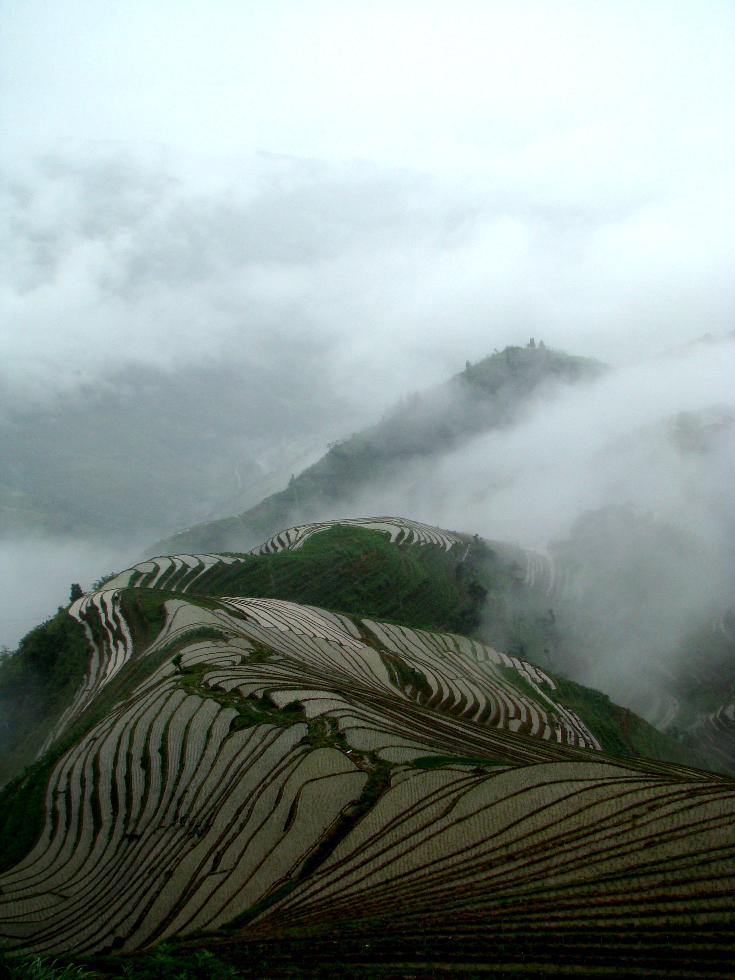 Terrace_field_guangxi_longji_china.jpg