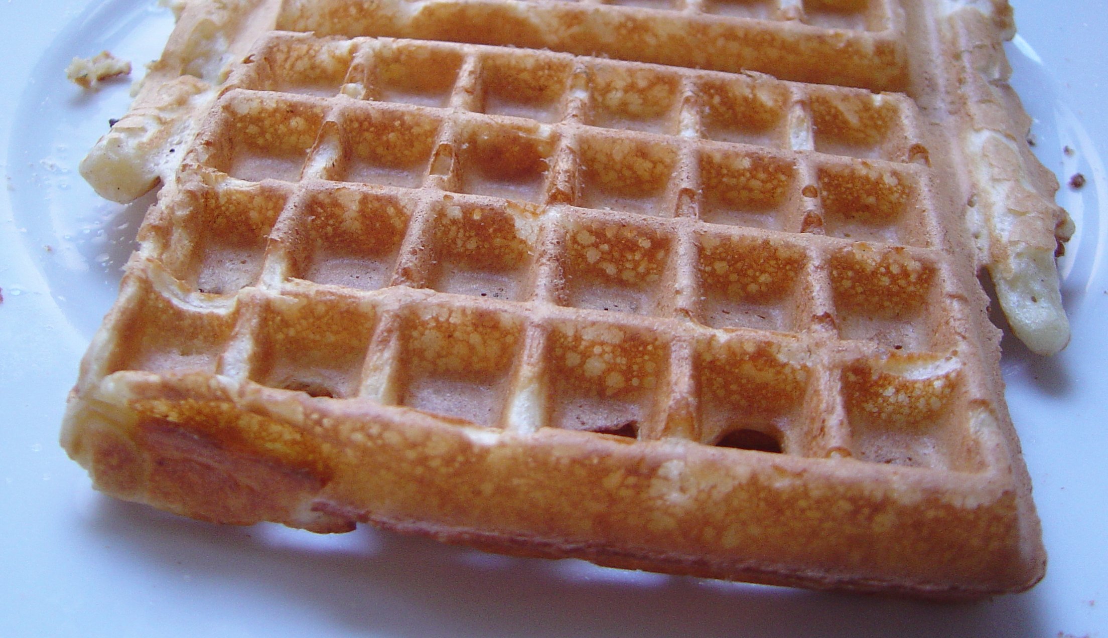 Waffle_DSC00575.jpg