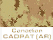 Canadian-CADPAT-AR.gif