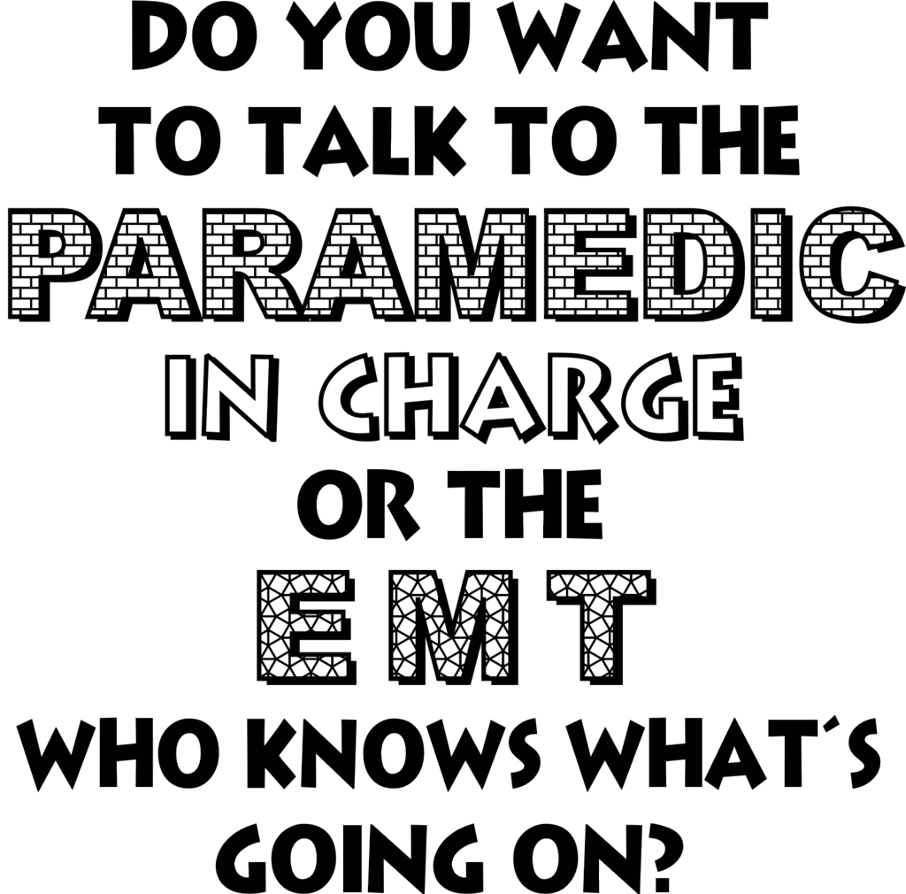 paramedicincharge.gif