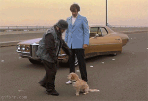 dog1.gif