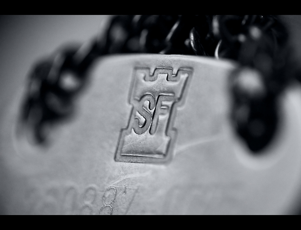 Dog_tags_by_MaxiKana.jpg
