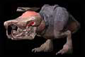 shrieker-mapped1.jpg