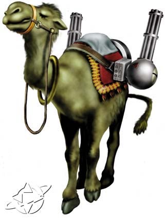 camel_4.jpg