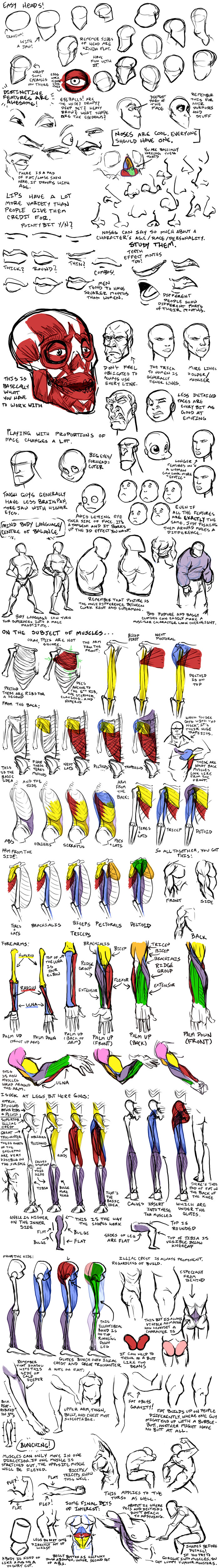 How_to_draw_all_sorts_of_crap_by_Coelasquid.jpg