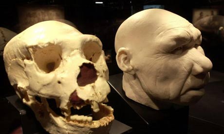 fossils460x276.jpg