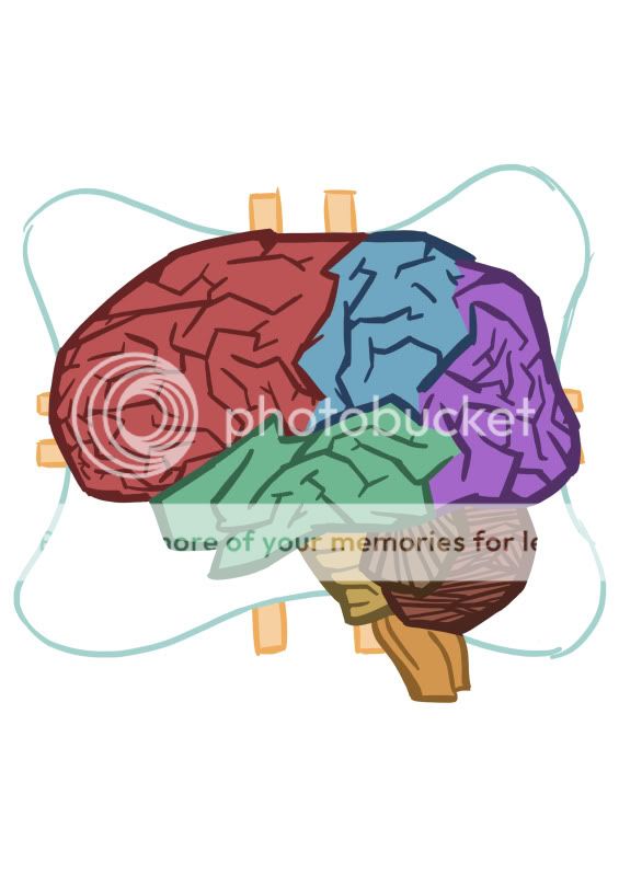 braincopy-1.jpg