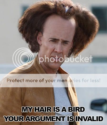 nicolas-cage-hair-is-a-bird.jpg