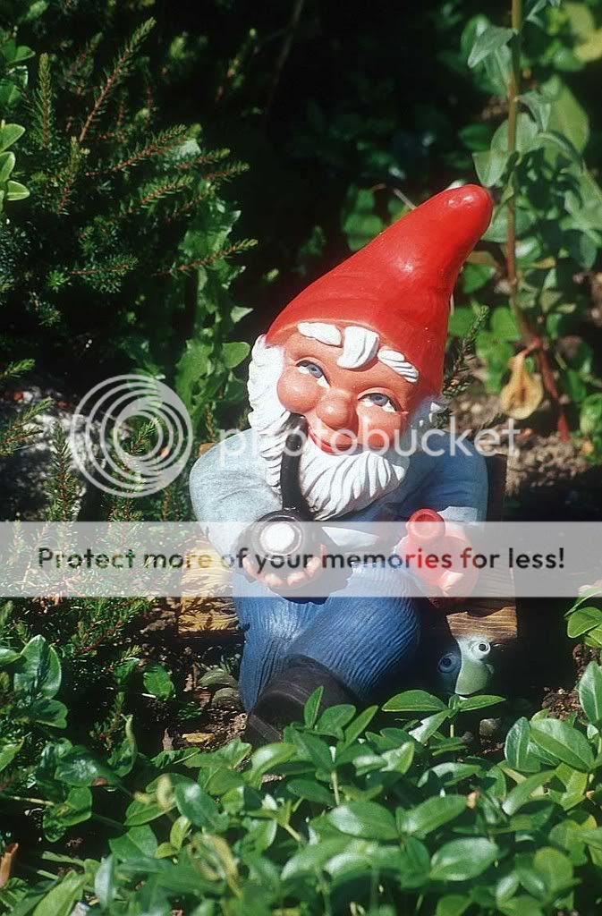 garden-gnome-pipe-9r.jpg