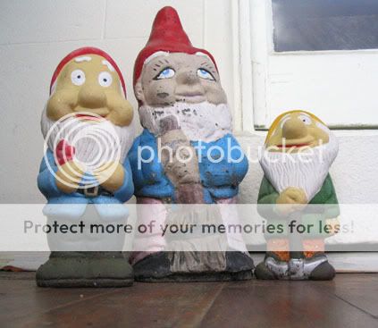 gnomes1.jpg
