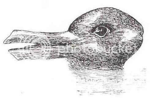 Duck-Rabbit_illusion.jpg