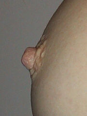 180px-Female_nipple_profile.jpg
