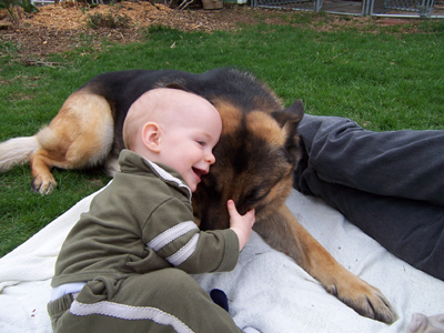 GSD_and_a_baby.jpg
