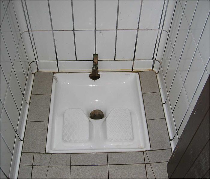700px-French_Squatter_Toilet.jpg